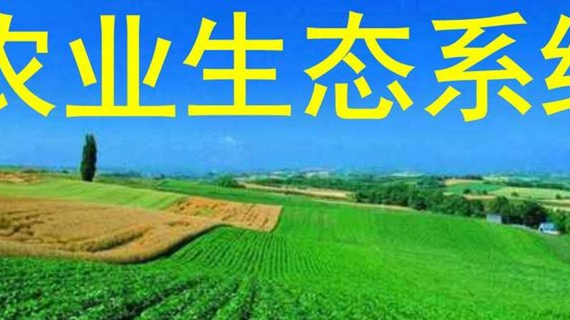 绿色食品认证：产地环境标准解析