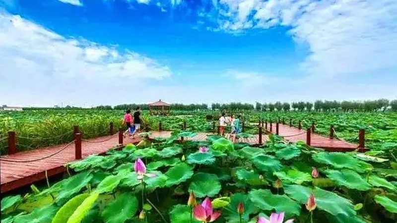 农业产业园废气处理：技术解析与挑战应对**