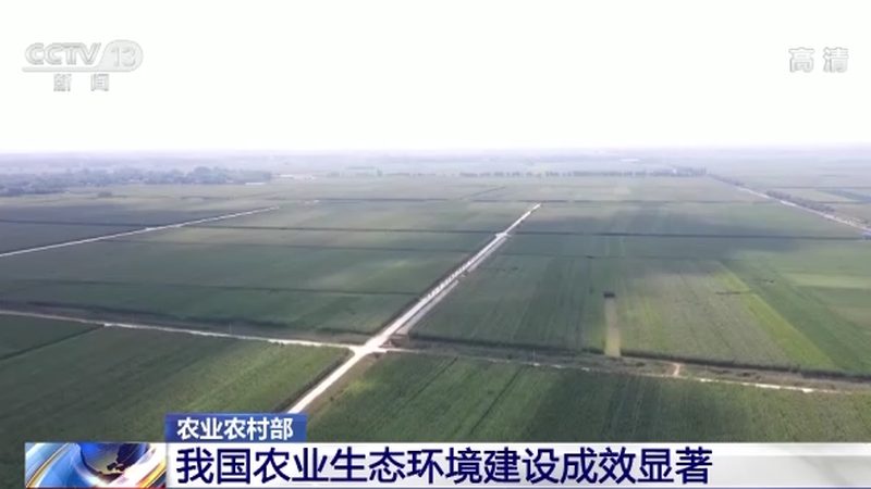 大豆种植一亩成本清单：如何精准控制成本，提高效益？**