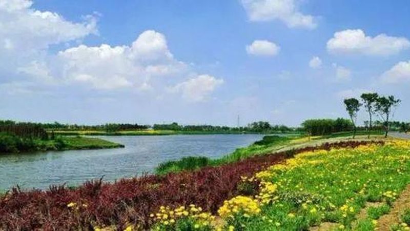 现代农业温室大棚：定制价格背后的考量因素