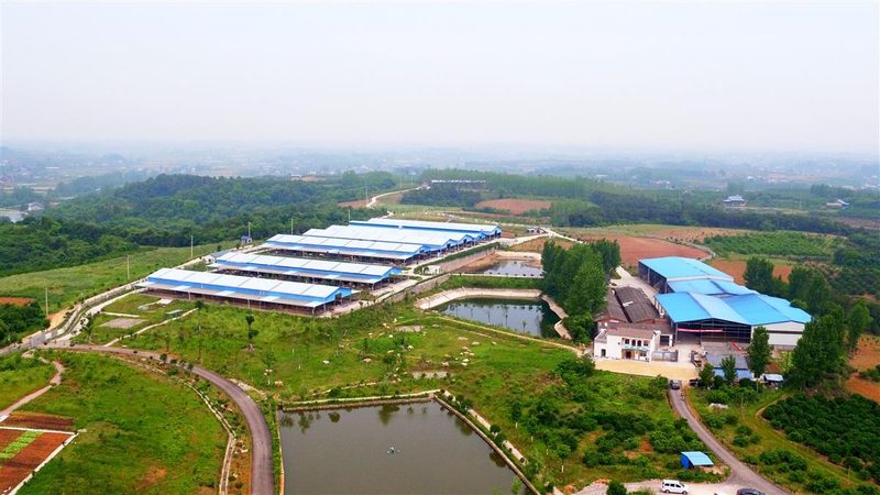 合作社注销需要什么材料