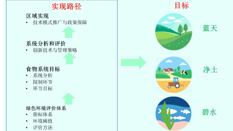 蔬菜种植新技术的革新之路：与传统种植的五大差异
