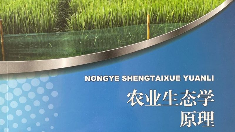 大棚保温被：如何选择优质产品，保障农业生产效率**