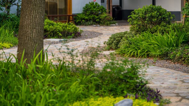 果蔬配送中心标准化建设：从粗放运营到系统管控