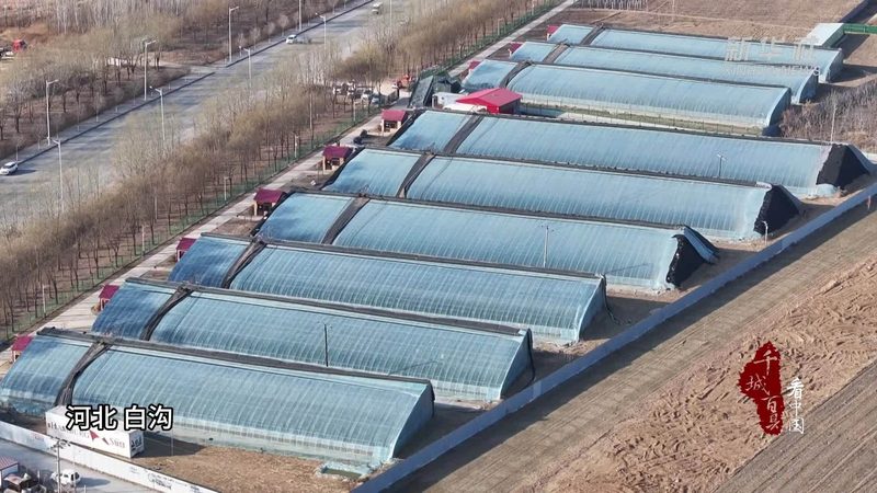 绿色食品续展需要什么材料