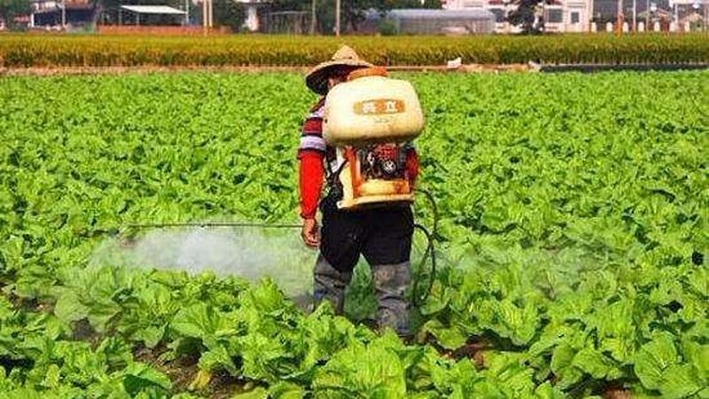 农业项目加盟，如何规避潜在风险？**