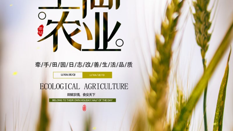 家庭农场种养结合：探寻最佳比例之道**